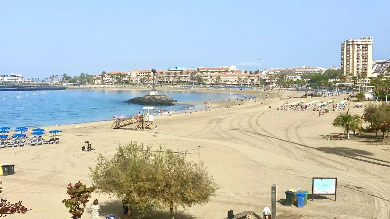 Bohemio Playa Los Cristianos By Deihu Experiecias Arona  Apartment Arona (Tenerife)